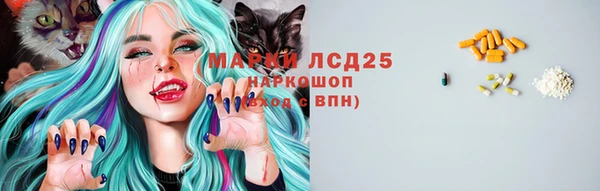 стафф Арсеньев