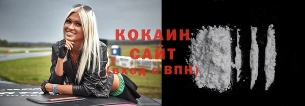 гашик Богданович