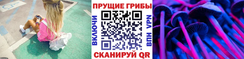 Галлюциногенные грибы Psilocybine cubensis  нарко площадка состав  Козьмодемьянск 