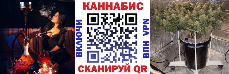 mega зеркало  Козьмодемьянск  Каннабис планчик  как найти  
